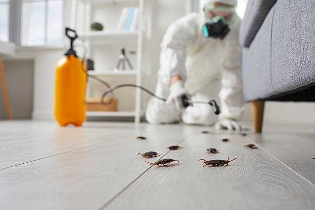 Commercial Kitchen Cockroach Control in Oak Grove
